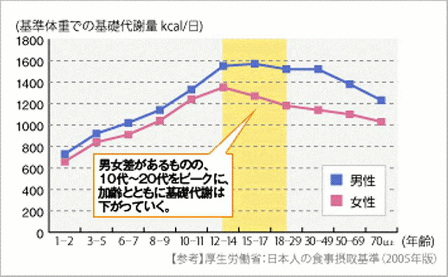 標準体重の基礎代謝率の折れ線グラフ