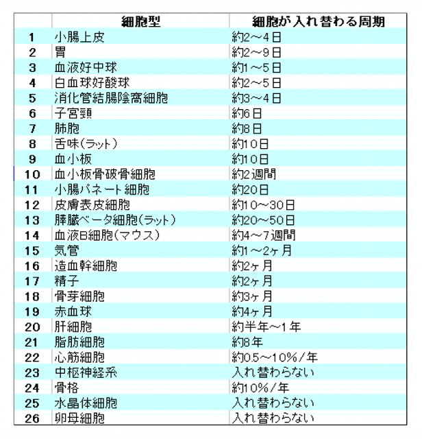 細胞周期のリスト表