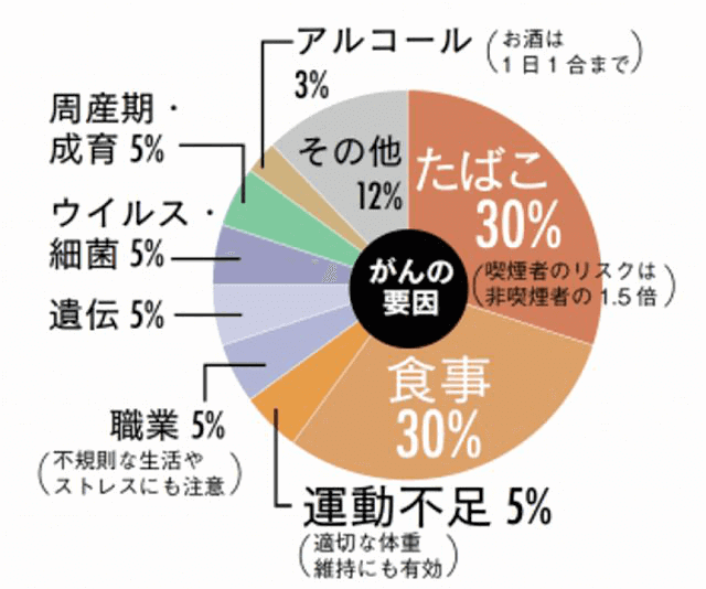 癌になる要因の円グラフ